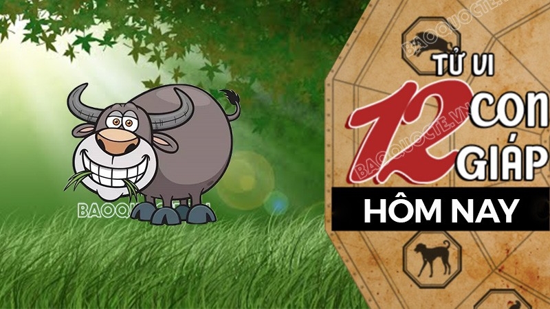 Tử vi hôm nay, xem tử vi 12 con giáp hôm nay ngày 13/3/2026: Tuổi Sửu buôn bán có lộc