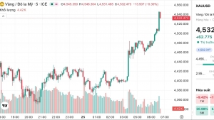 Giá vàng tăng trở lại, dầu lao dốc khi căng thẳng Trung Đông hạ nhiệt