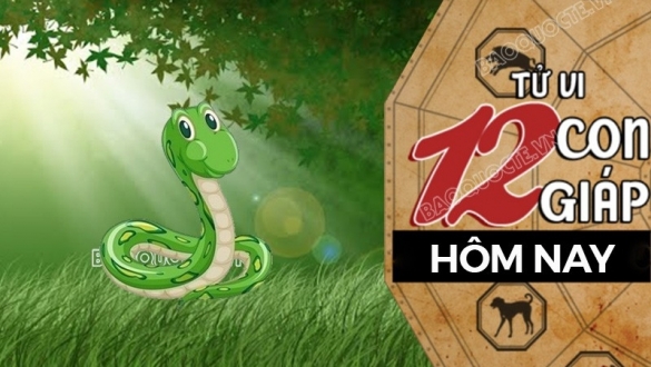 Tử vi hôm nay, xem tử vi 12 con giáp hôm nay ngày 11/4/2026: Tuổi Tỵ cẩn thận tiền bạc