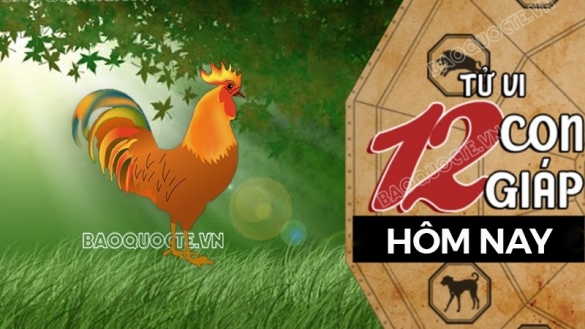 Tử vi hôm nay, xem tử vi 12 con giáp hôm nay ngày 12/4/2026: Tuổi Dậu đầu tư sinh lời