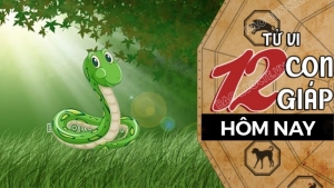 Tử vi hôm nay, xem tử vi 12 con giáp hôm nay ngày 22/4/2026: Tuổi Tỵ công việc thuận lợi