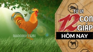 Tử vi hôm nay, xem tử vi 12 con giáp hôm nay ngày 24/4/2026: Tuổi Dậu nên kiểm soát chi tiêu