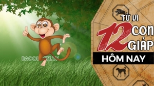 Tử vi hôm nay, xem tử vi 12 con giáp hôm nay ngày 29/4/2026: Tuổi Thân tài chính ổn định