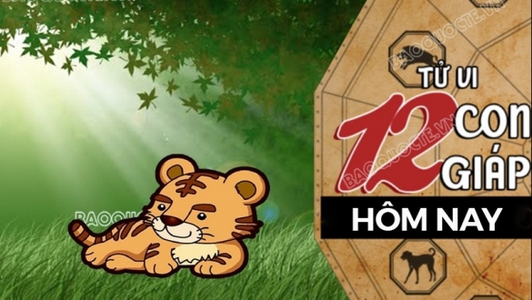 Tử vi hôm nay, xem tử vi 12 con giáp hôm nay ngày 14/5/2025: Tuổi Dần công việc cần kiên nhẫn