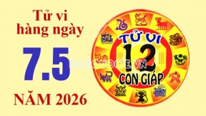 Tử vi hôm nay, xem tử vi 12 con giáp hôm nay ngày 7/5/2026: Tuổi Thìn nhiều cơ hội kiếm tiền