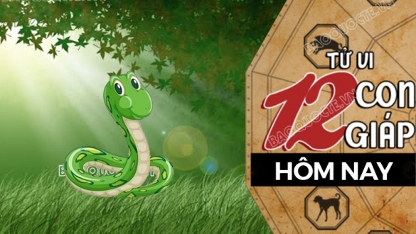 Tử vi hôm nay, xem tử vi 12 con giáp hôm nay ngày 15/5/2026: Tuổi Tỵ hợp tác thuận lợi