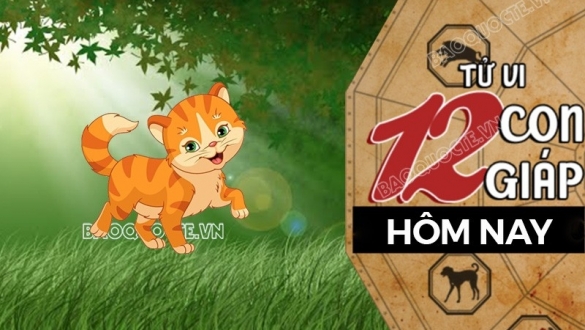 Tử vi hôm nay, xem tử vi 12 con giáp hôm nay ngày 22/5/2026: Tuổi Mão công việc thăng chức