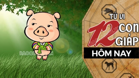 Tử vi hôm nay, xem tử vi 12 con giáp hôm nay ngày 26/5/2026: Tuổi Hợi tài chính ổn định