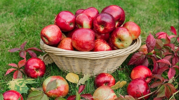 Chống nắng từ bên trong với các thực phẩm tự nhiên