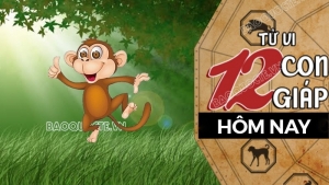 Tử vi hôm nay, xem tử vi 12 con giáp hôm nay ngày 15/6/2025: Tuổi Thân kiên nhẫn kiếm tiền