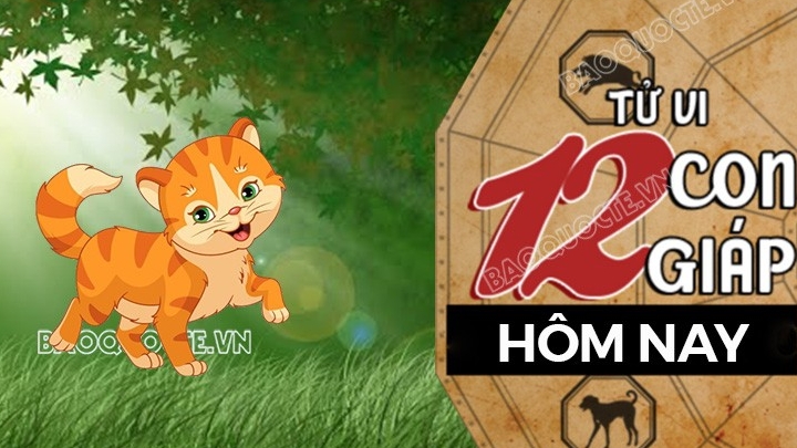 Tử vi hôm nay, xem tử vi 12 con giáp hôm nay ngày 16/6/2025: Tuổi Mão tài lộc thăng hạng
