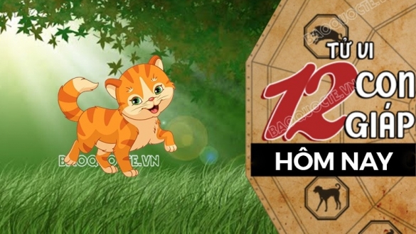 Tử vi hôm nay, xem tử vi 12 con giáp hôm nay ngày 17/8/2026: Tuổi Mão tình cảm mâu thuẫn