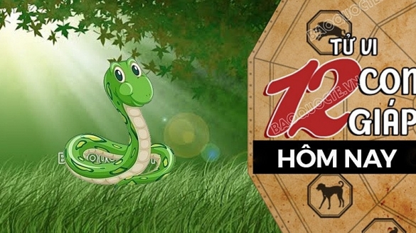 Tử vi hôm nay, xem tử vi 12 con giáp hôm nay ngày 21/9/2026: Tuổi Tỵ tài lộc dồi dào