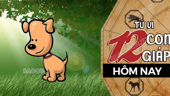 Tử vi hôm nay, xem tử vi 12 con giáp hôm nay ngày 29/9/2026: Tuổi Tuất công việc khó khăn