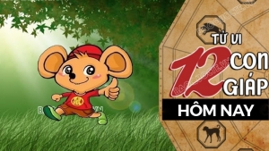 Tử vi hôm nay, xem tử vi 12 con giáp hôm nay ngày 10/10/2025: Tuổi Tý tài lộc như mong đợi