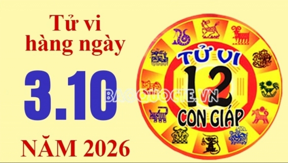 Tử vi hôm nay, xem tử vi 12 con giáp hôm nay ngày 3/10/2026: Tuổi Tỵ tài lộc gia tăng