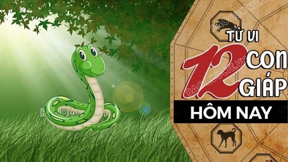 Tử vi hôm nay, xem tử vi 12 con giáp hôm nay ngày 28/10/2026: Tuổi Tỵ tình cảm êm đềm