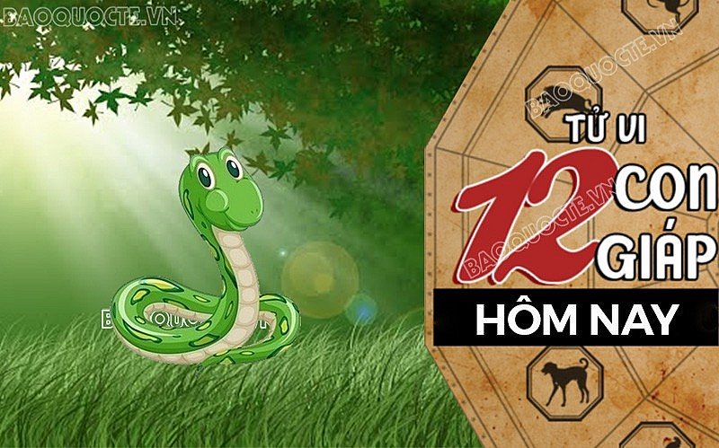 Tử vi hôm nay, xem tử vi 12 con giáp hôm nay ngày 28/10/2026: Tuổi Tỵ tình cảm êm đềm