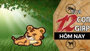 Tử vi hôm nay, xem tử vi 12 con giáp hôm nay ngày 12/11/2025: Tuổi Dần công việc hiệu quả cao