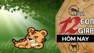 Tử vi hôm nay, xem tử vi 12 con giáp hôm nay ngày 15/11/2025: Tuổi Dần sự nghiệp hanh thông