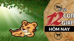 Tử vi hôm nay, xem tử vi 12 con giáp hôm nay ngày 21/11/2025: Tuổi Dần sự nghiệp vẻ vang