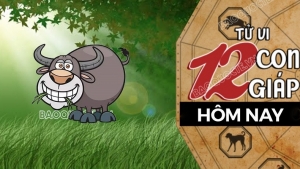 Tử vi hôm nay, xem tử vi 12 con giáp hôm nay ngày 25/11/2025: Tuổi Sửu tiền bạc nhận tin vui