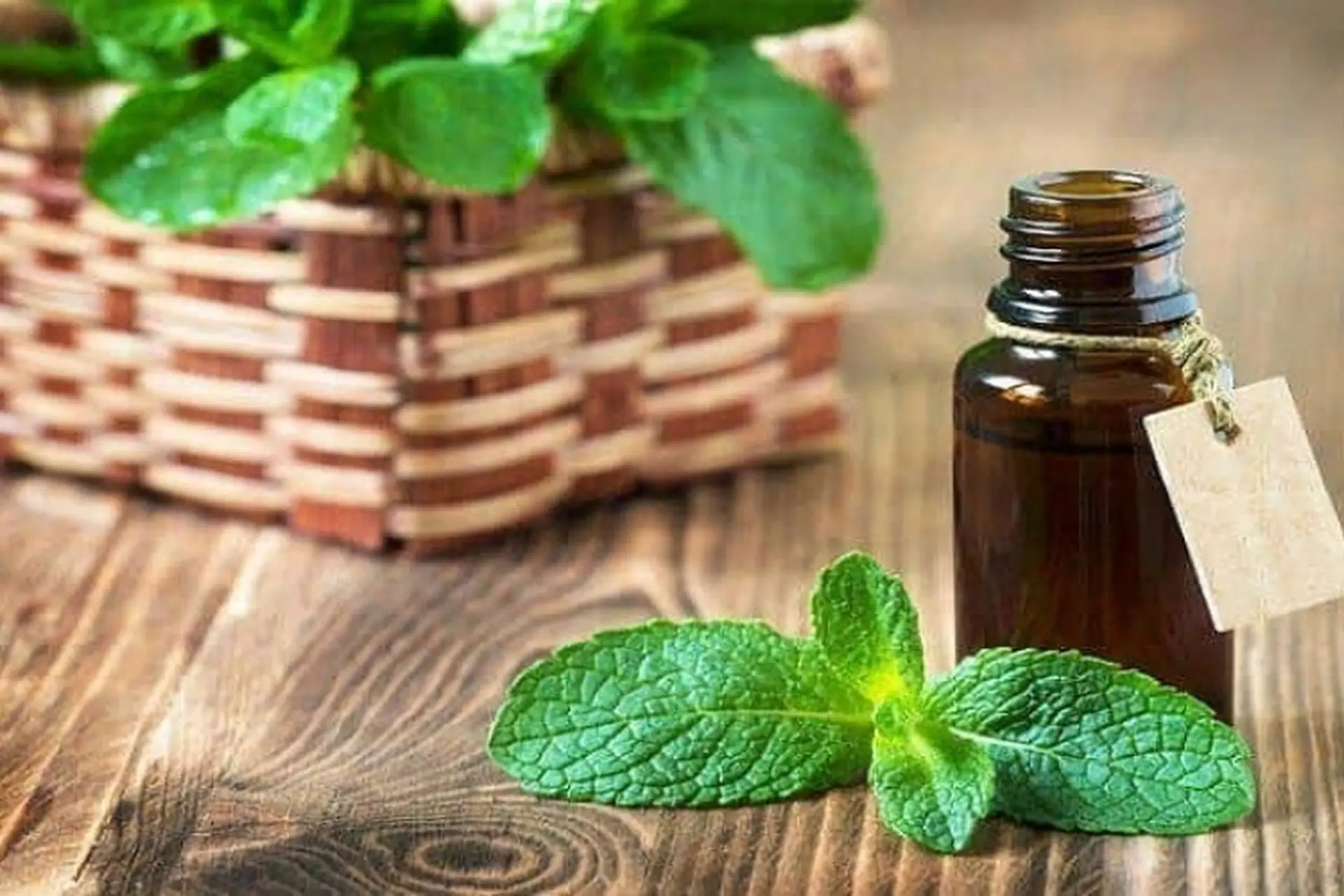 Loại thảo mộc giúp tăng cường năng lượng cho buổi chiều