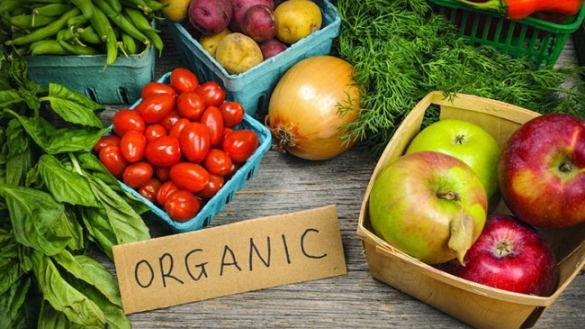 Sự khác biệt giữa nông nghiệp hữu cơ và nông nghiệp sạch