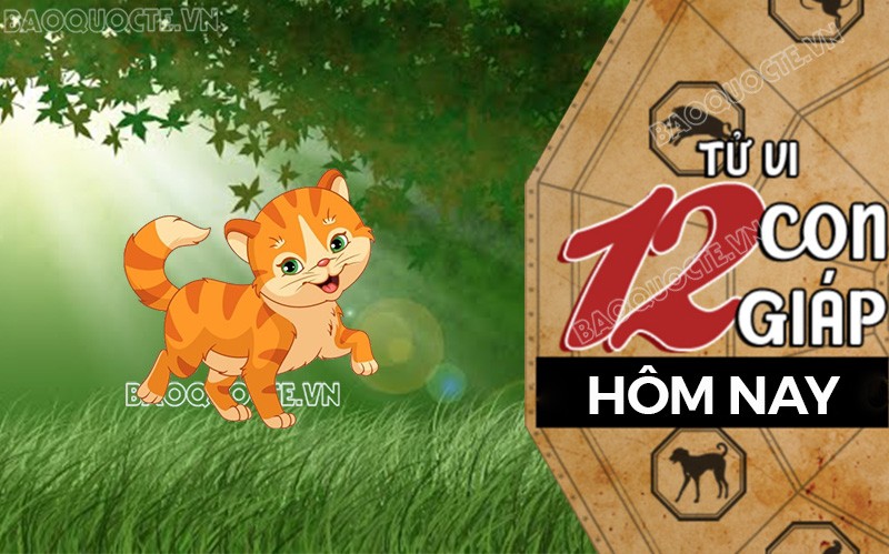 Tử vi hôm nay, xem tử vi 12 con giáp hôm nay ngày 10/12/2025: Tuổi Mão thu nhập tăng Tử vi hôm nay, xem tử vi 12 con giáp hôm nay ngày 10/12/2025: Tuổi Mão thu nhập tăng