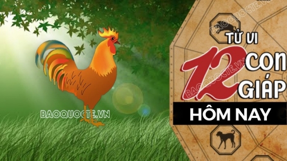 Tử vi hôm nay, xem tử vi 12 con giáp hôm nay ngày 16/12/2025: Tuổi Dậu sự nghiệp phát triển