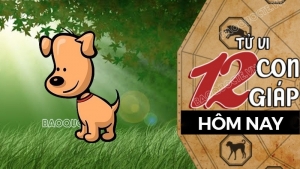 Tử vi hôm nay, xem tử vi 12 con giáp hôm nay ngày 18/12/2025: Tuổi Tuất công việc bình ổn